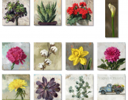 Darren Gygi-plants-flowers2